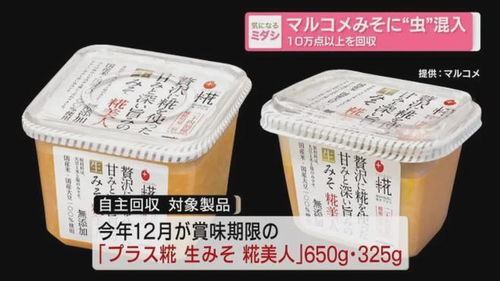 日本食品大廠再爆混入異物,廠家 異物是蟑螂